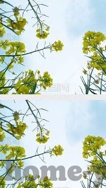 麻豆娱乐app-逃离虚拟迷宫,对麻豆娱乐app的反思与警醒